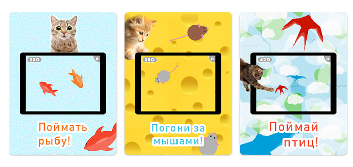 Игры для котиков на смартфон
