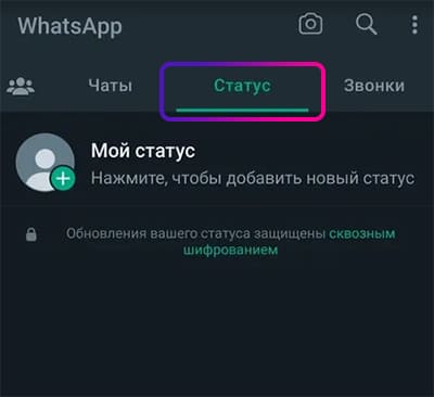 Статусы в WhatsApp